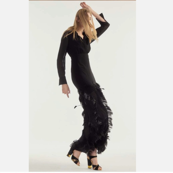 Cynthia Rowley Dusk Silk Metallic Fringe Georgette Embellished Dress Size 2 NWT - Picture 3 of 6